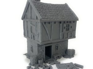 IMG_3408 escenografia mordheim