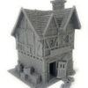 IMG_3683 tienda 4 briarwood escenografia mordheim