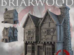 Shop 2 M Tienda 2 de briarwood mordheim