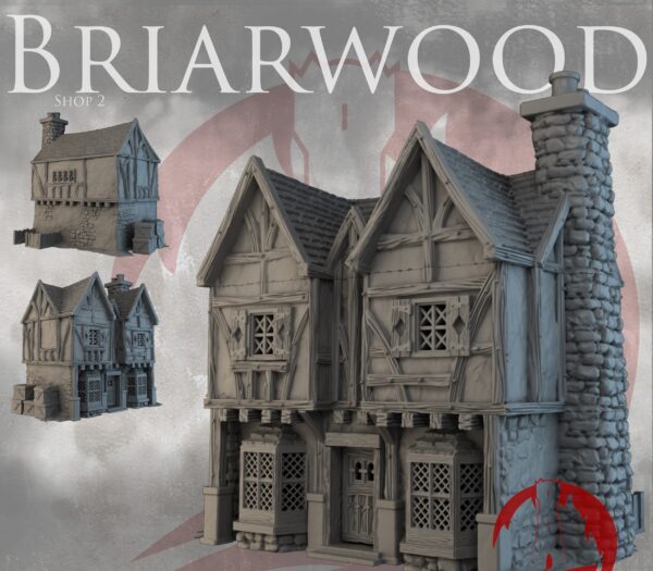 Shop 2 M Tienda 2 de briarwood mordheim