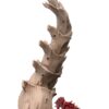 16A Escenografía Tyranid 1 - 10 piezas