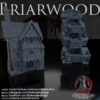 010-0131-1 Tienda 6 de Briarwood · imagen del diseñador