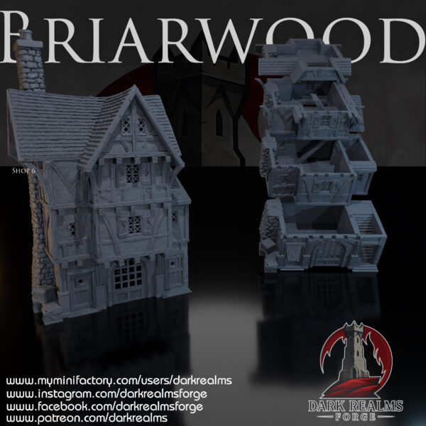 010-0131-1 Tienda 6 de Briarwood · imagen del diseñador