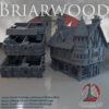 010-0132-0 edificio comercial medieval para wargames · Tienda 7 de Briarwood