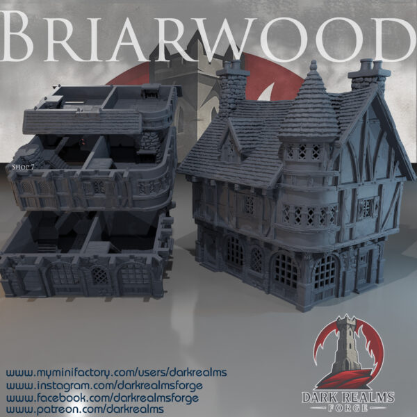010-0132-0 edificio comercial medieval para wargames · Tienda 7 de Briarwood