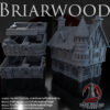 010-0132-1 Tienda 7 de Briarwood · imagen del diseñador