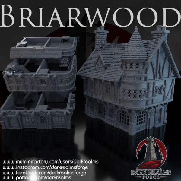 010-0132-1 Tienda 7 de Briarwood · imagen del diseñador