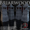 010-0134-1 Torre de Briarwood · imagen del diseñador