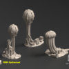 202201_Tulipa_Spores Esporas · Tulipa Evolved · catálogo 2